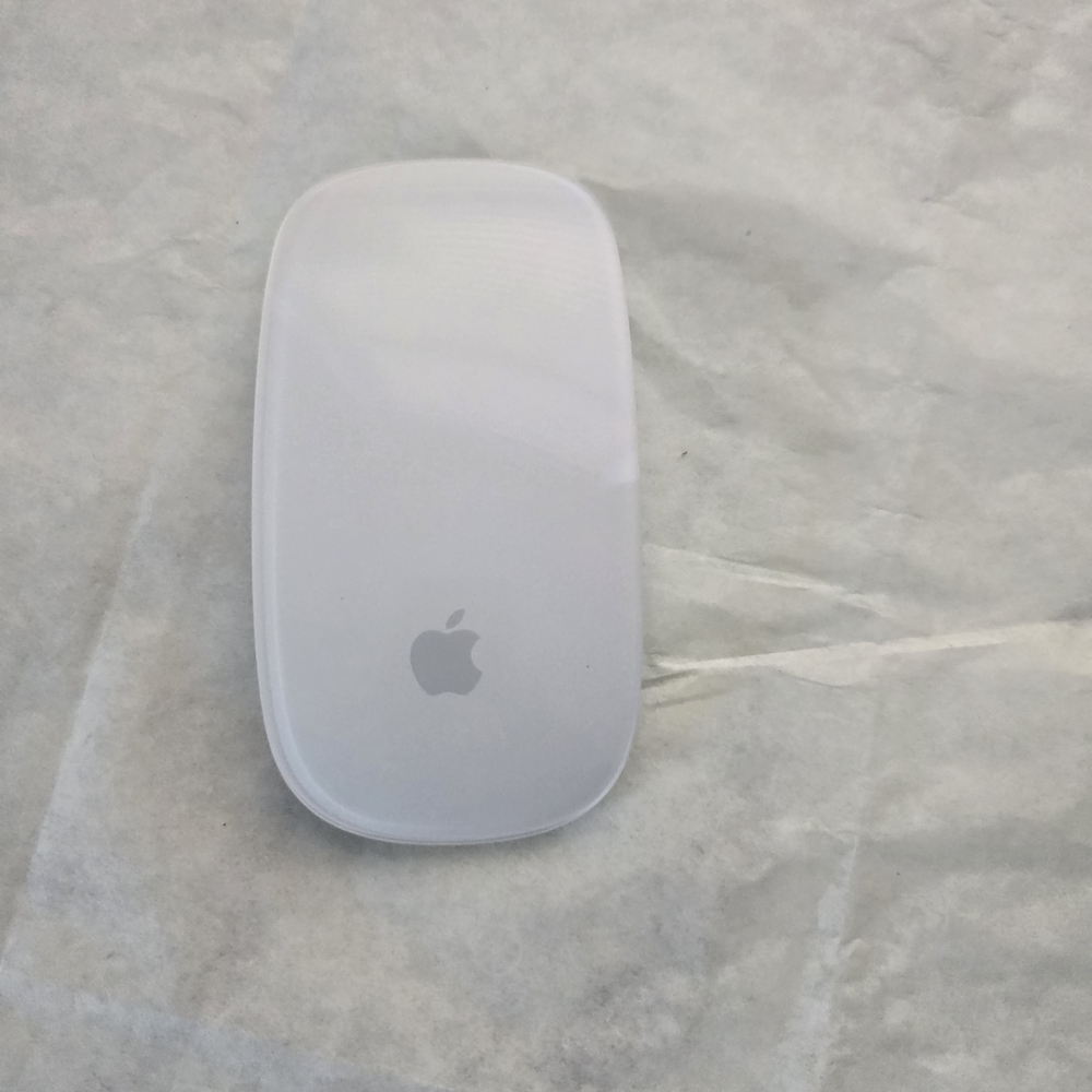 Apple Silver Touch Mouse